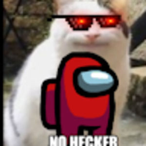 Meet your Posher, Owen